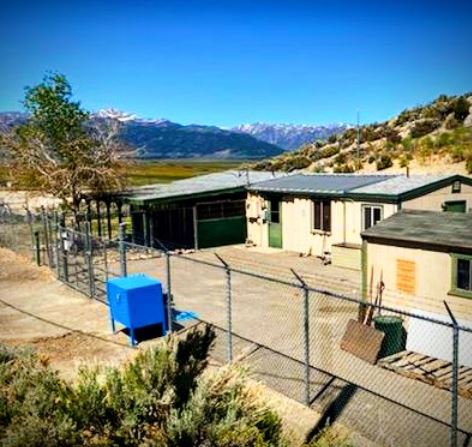 Bridgeport Texas Animal Shelter