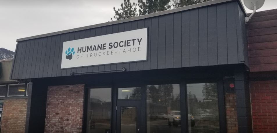 Humane Society of Truckee-Tahoe | South Lake Taho