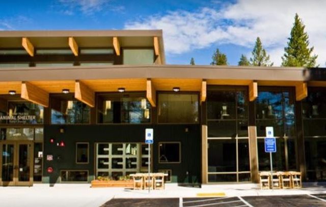 Humane Society of Truckee-Tahoe | Truckee