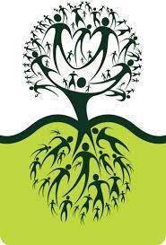 Sierra Roots