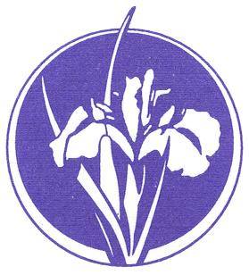 Wild Iris - Mammoth Lakes